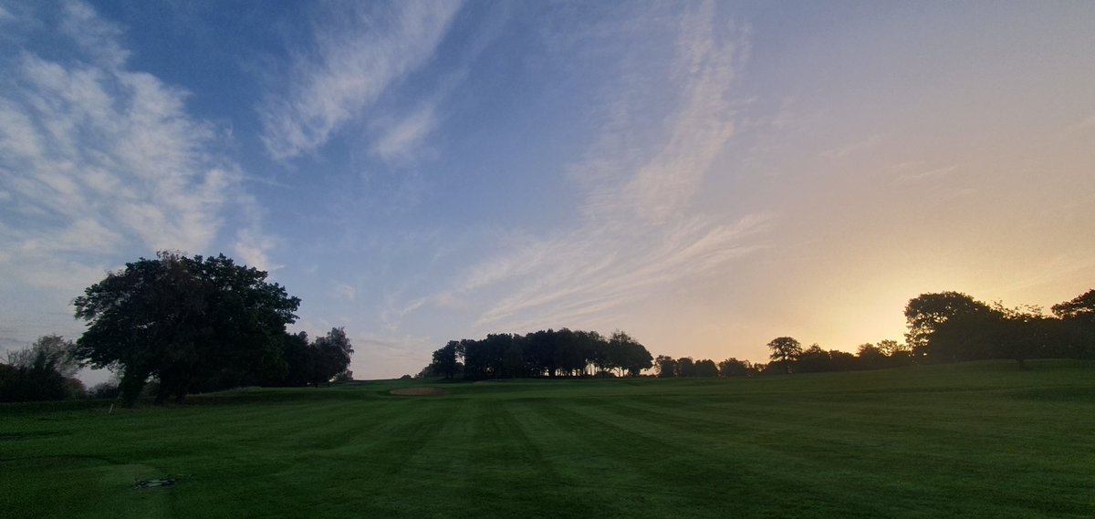 David Sumsion tweet media