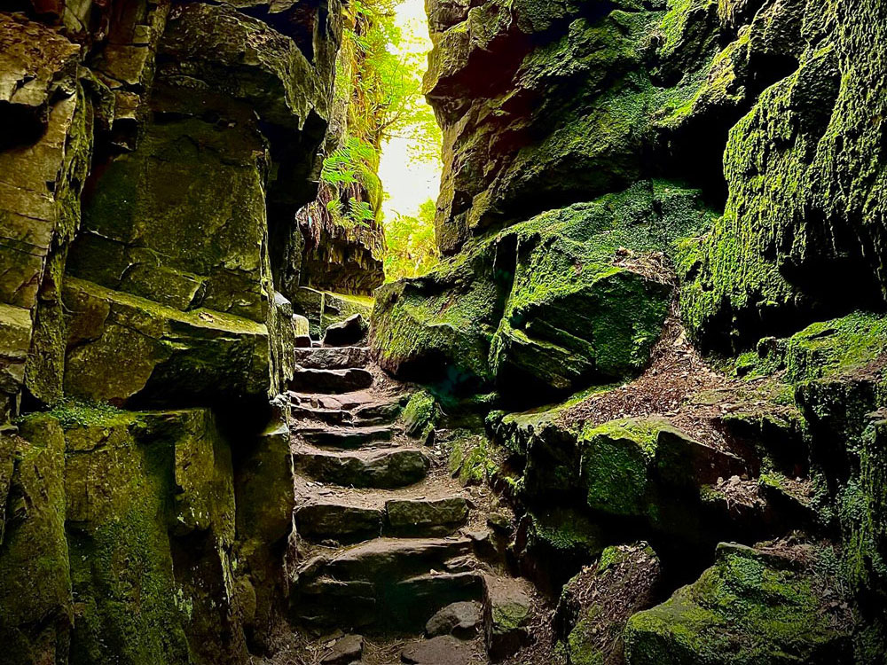 peakdistrict's tweet image. Join our ranger events this October! 🎃

🥾 Kinder From Edge to Edge
🥾 Brewing up a Story at Lud's Church
🥾 Fungus Forary - Chatsworth/Coombes Dale
🥾 History of The Roaches

Browse and book online...
👉 bit.ly/pdnp_guidedwal…

#PeakDistrictProud #RangerGuidedWalks