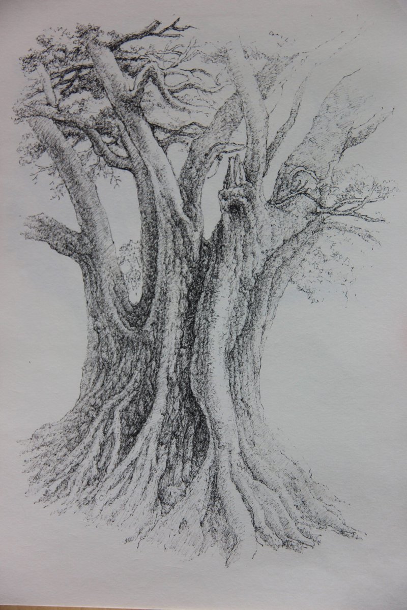 kaijunart's tweet photo. ❤Like & 📌Subscribe if you enjoy my artworks!
- Artist: Kaijun Hu
- Location: Yunnan, China
- Album: Beauty of Yunnan
- Website: https://t.co/XT9mldL7q7
#sketches #landscapesketch
#kaijunart #yunnan #chineseart #treesketch #rootsketch #sketchink #shilin #pensketch https://t.co/S6kGb5u37S