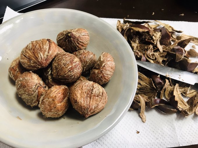 渋皮煮作るのヤバいて…
既に3時間ちょい
10粒程度の栗につきっきり
大変すぎて笑えるw
何度も湯で煮てアク取りして
栗の渋皮を傷つけない様に
焦げ茶色の筋皮取って
やっと砂糖加えて煮る段階まで来た 