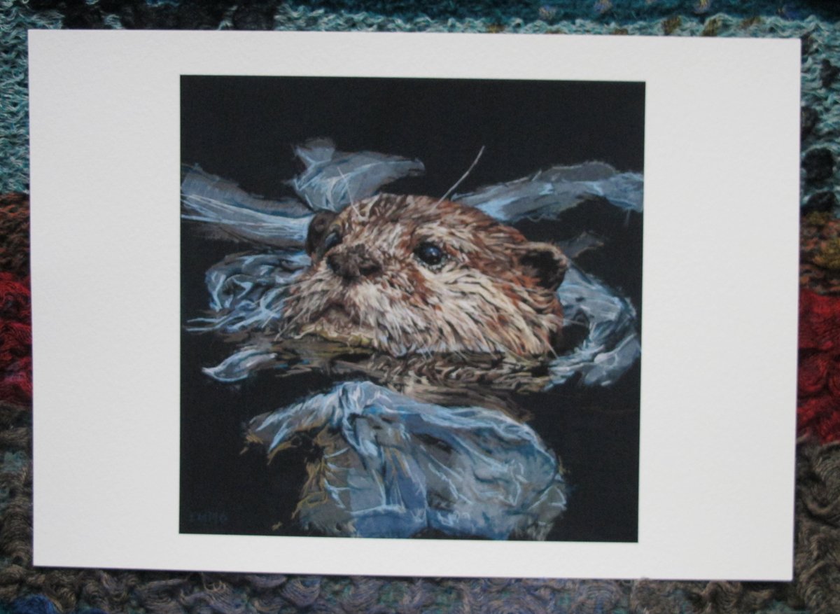 Otter A4 fine art giclee prints. Edition of 50, each print is signed. etsy.com/uk/listing/479… #UKGiftHour #WildlifeArt #EtsyShop