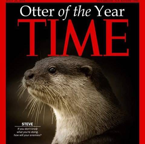 In Otter News.... tweet media