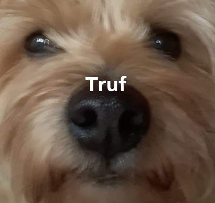 V pour Valentin tweet media