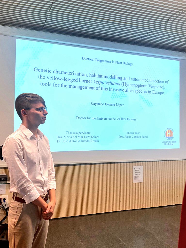 Mar Leza tweet media