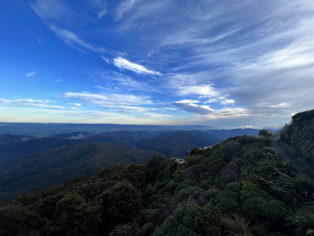 Lou Aitken tweet media