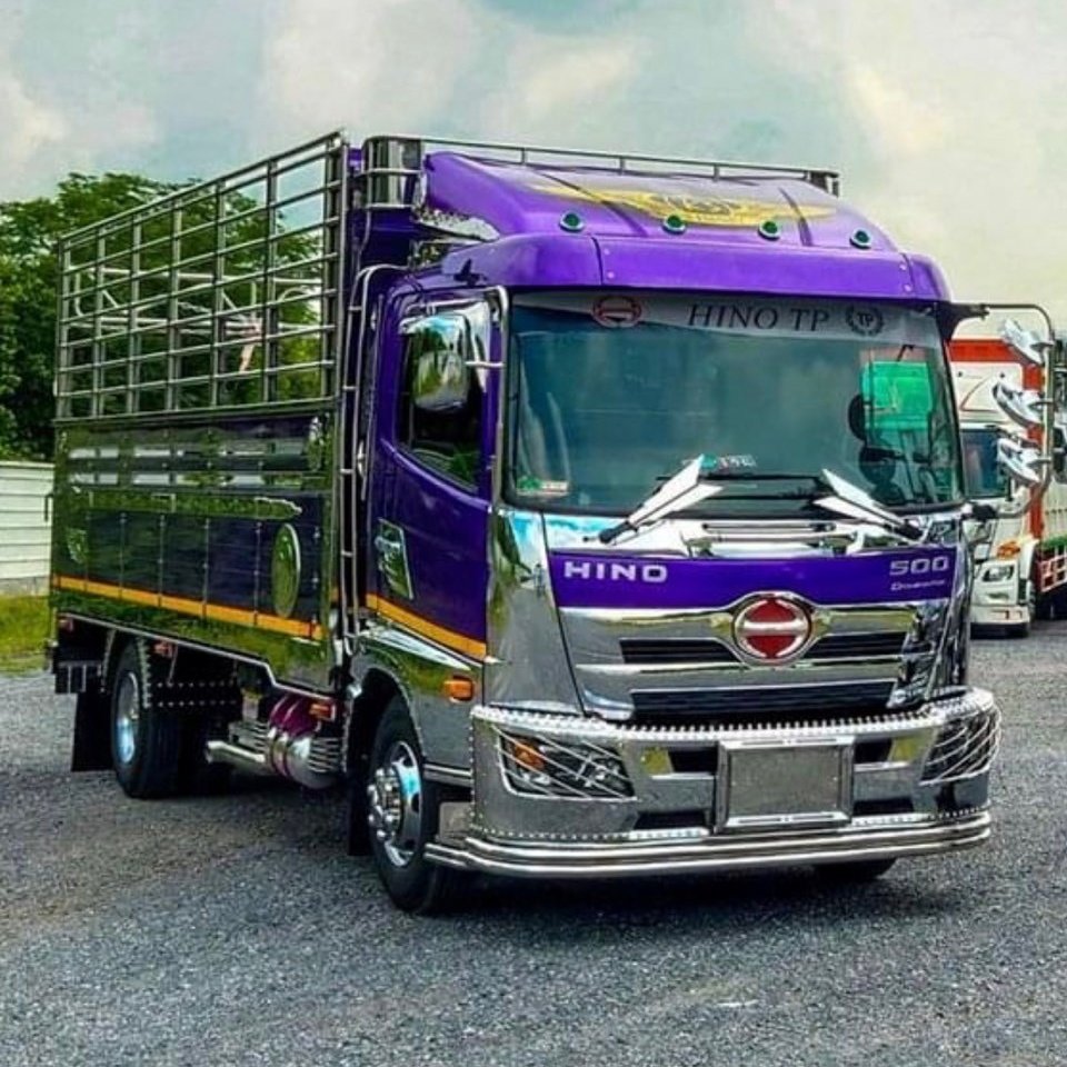 Green26vanVIP's tweet image. #NewProfilePic