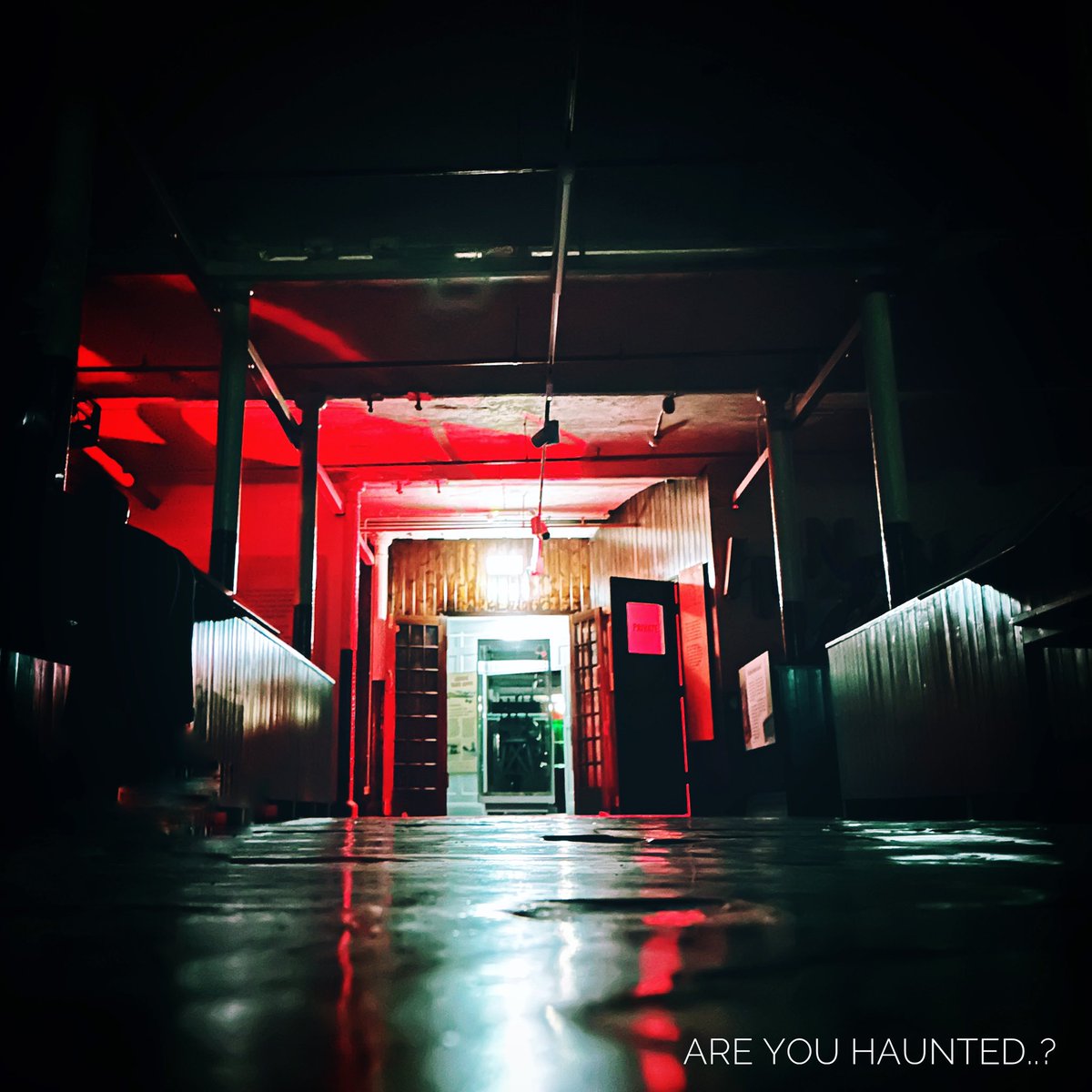 Are You Haunted? tweet media