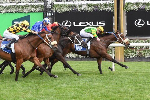 D Stackhouse <a href="/AdrianCoyne/">Adrian Coyne</a> <a href="/rtralphy/">ralph horowitz</a> joins elite club with C Hefel that have managers that know where to buy golf balls and great northern 🍺☺️