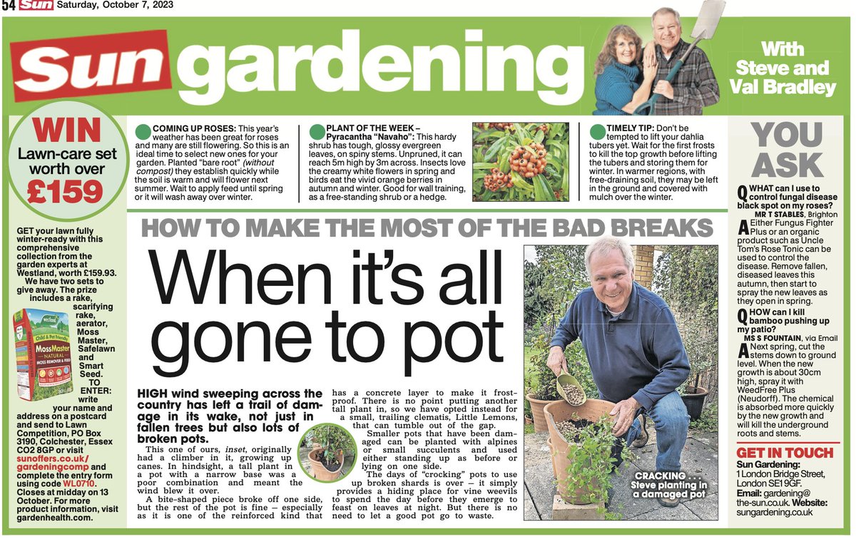 In #SunGardening this week: making the most of broken pots, #win a bumper @gardenhealth1 autumn lawn care set, planting roses in autumn, lifting dahlias, black spot treatment & killing bamboo.
🤔🪴🌳🌿🌹🍂🍁
