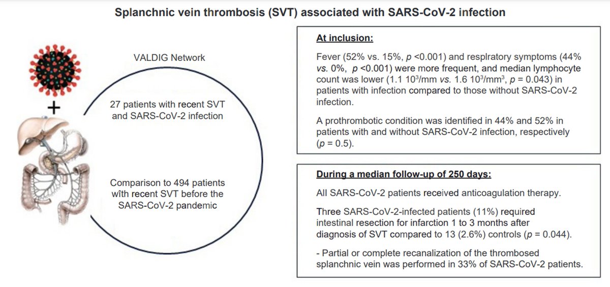 Rautou Pierre-Emmanuel (@rautoue) on Twitter photo A 🆕 <a href="/ValdigGroup/">Valdig Group</a> study on splanchnic vein thrombosis associated with SARS-CoV-2 infection: 🔊
As compared with patients w/o SARS-CoV-2 infection:
🟰 same frequency of prothrombotic conditions
🟰 same recanalization rate
⚠️ More intestinal infarction
authors.elsevier.com/sd/article/S25… A 🆕 <a href="/ValdigGroup/">Valdig Group</a> study on splanchnic vein thrombosis associated with SARS-CoV-2 infection: 🔊
As compared with patients w/o SARS-CoV-2 infection:
🟰 same frequency of prothrombotic conditions
🟰 same recanalization rate
⚠️ More intestinal infarction
authors.elsevier.com/sd/article/S25…