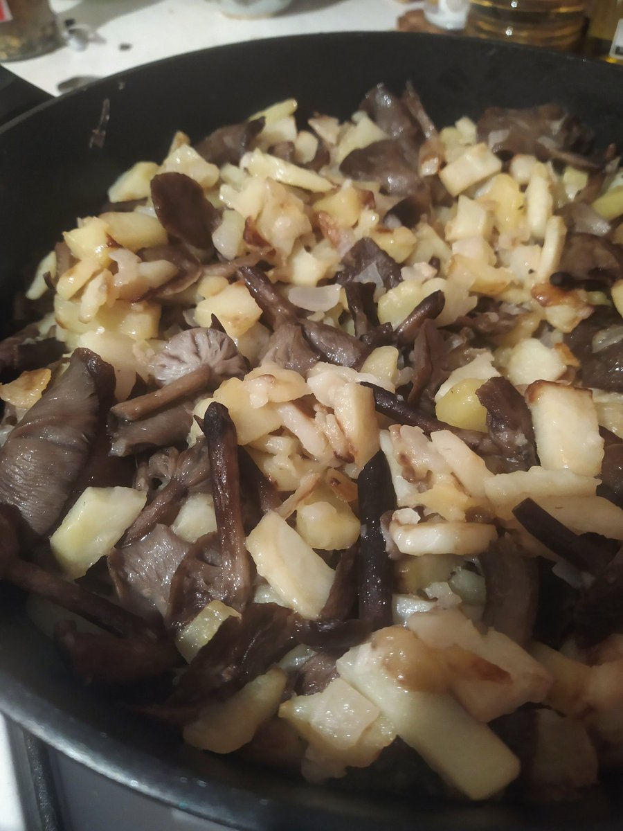 две ароматные картинки 

вопята токашо промытые и вопята жареные с картошечькой :3