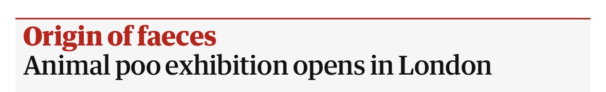 Excellent pun ⁦<a href="/guardian/">The Guardian</a>⁩