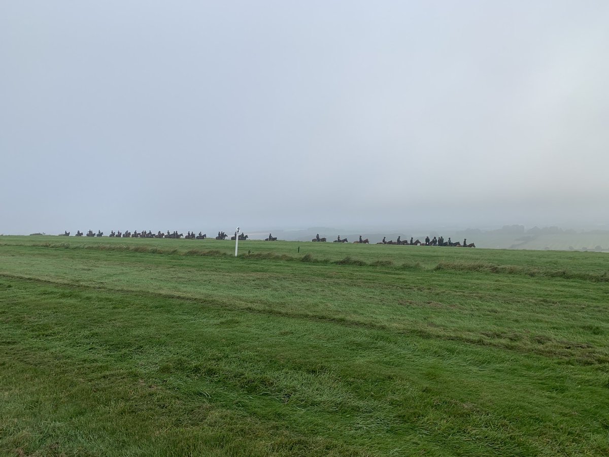 liamnorrisblstk's tweet image. Lovely to be on the gallops at #kingsclere on a Saturday work morning a fabulously slick operation in perfect conditions #memorable