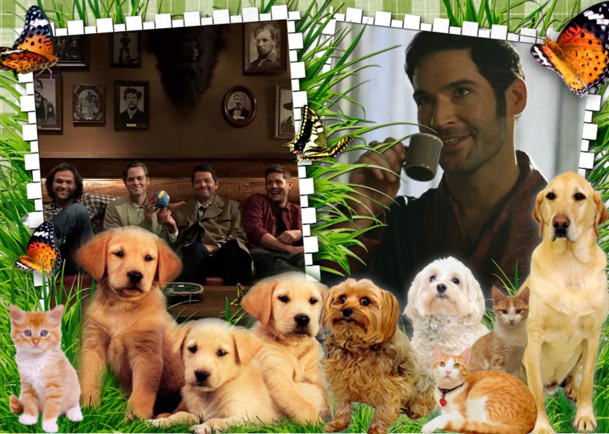 <a href="/GRITSSPNFAM1/">Lynn Cummings #FurBaby 🐶Mom &Family Caregiver</a> <a href="/TXTransplant45/">NancIIIIEEE😁♿️🏋🏻‍♀️🍕🐾</a> <a href="/orangecatcher/">Heather ⛅ Dean of knives 🗡️</a> <a href="/virtue2/">Pam R</a> 
Good Day to you my friends and enjoy your weekend