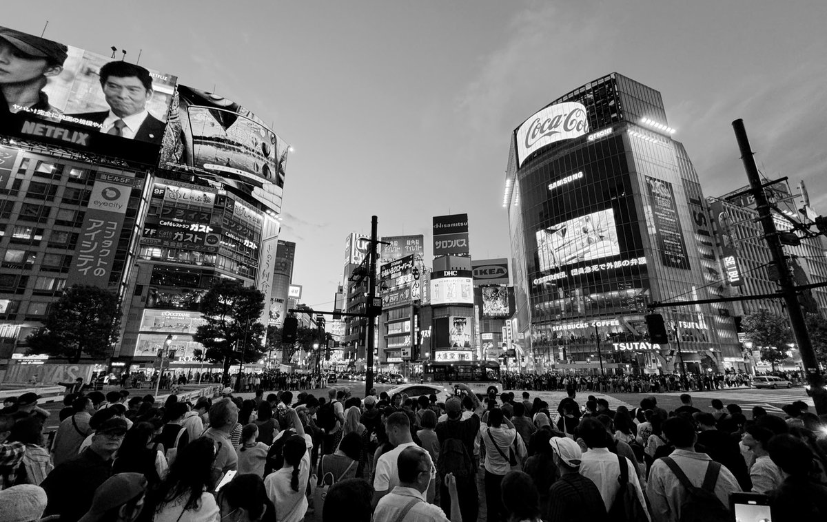 Mo Shaikh tweet media