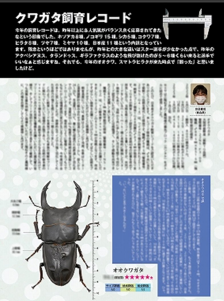beetles-fan (@gatapishichan) / X