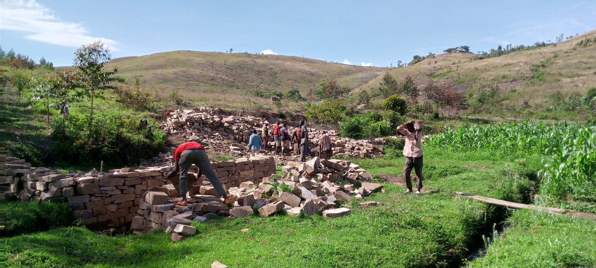 Musonga11's tweet photo. #Burundi,le 7/10/2023, abenegihugu bo Ku mutumba Mabawe, @RutanaProvince en commune Musongati bagiwe imbere n'umukuru w'umutumba bazindutse bubaka ikiraro gihuza umutumba wabo n'imitumba ya NYANZA Na GASAKUZA @MininterInfosBi https://t.co/mzOSb6gRHi
