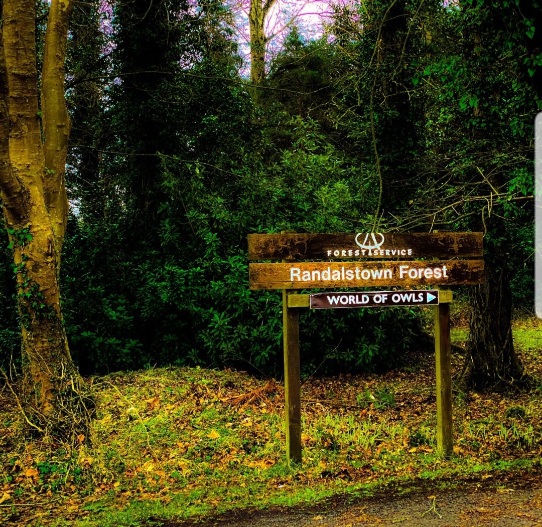 nocontextsigns's tweet photo. Good morning all, hoping everyone has a happy Saturday 🙏 huge thank you to @sheenz_m_ for this lovely photo 😁 make sure you keep an eye out for owls everyone! 🦉 #signs #sign #signpost #signpostsaturday #nocontextsigns https://t.co/NZlznTqYnL