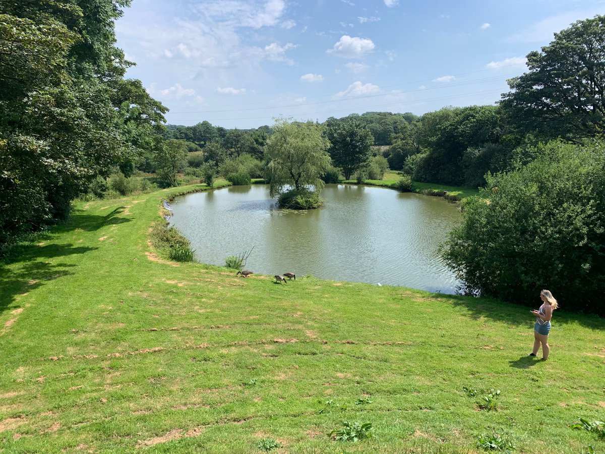 St. Tinney Farm Holidays tweet media