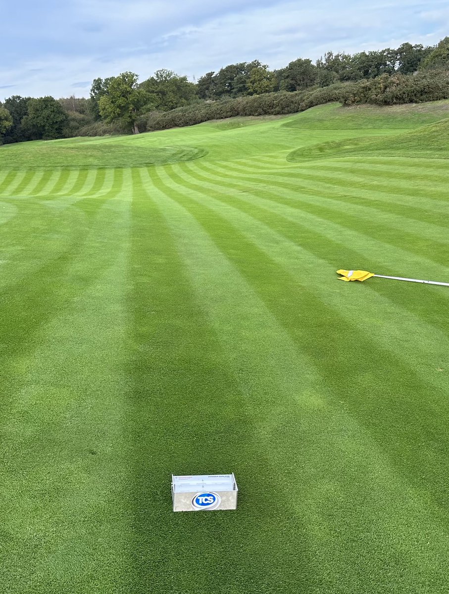 Tom Stidder tweet media