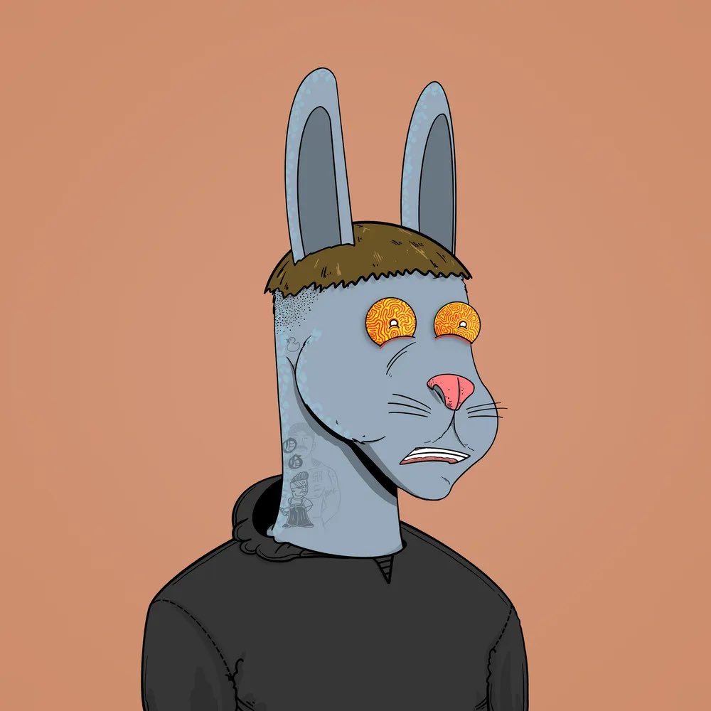 PRYC 🐰 tweet media