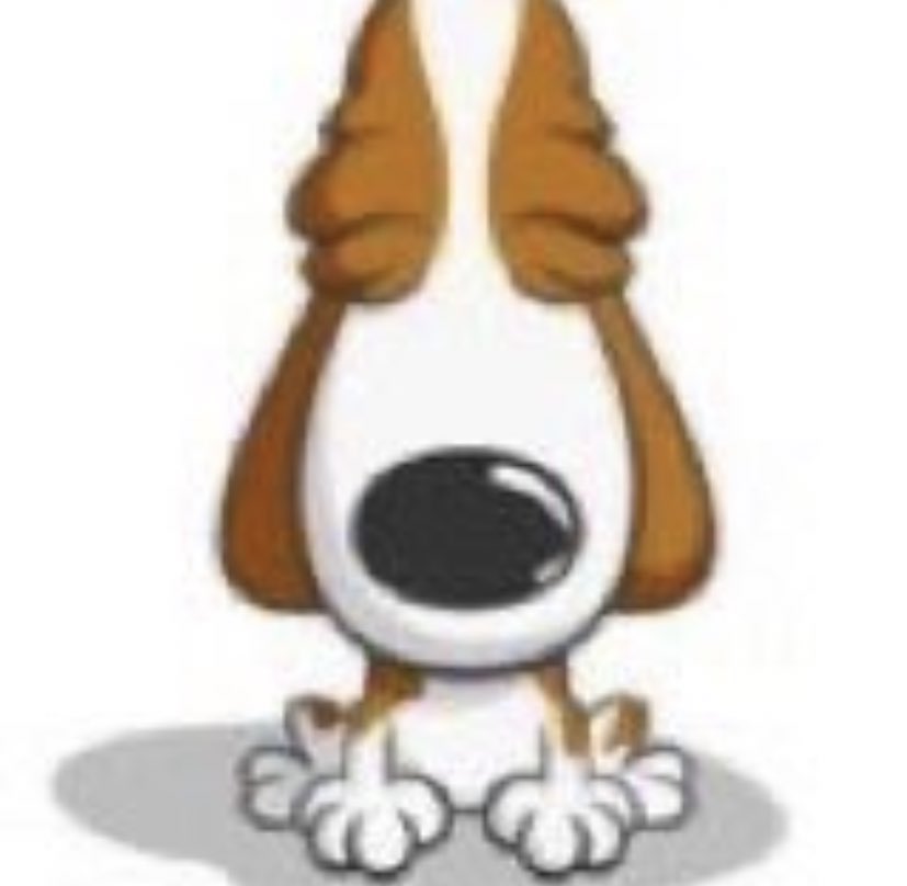 jhynotes's tweet image. confesso q não li nenhum livro obrigatório esse ano, tudo oq eu sei sobre eles estão guardados em algum lugar do meu cérebro (não sei onde)