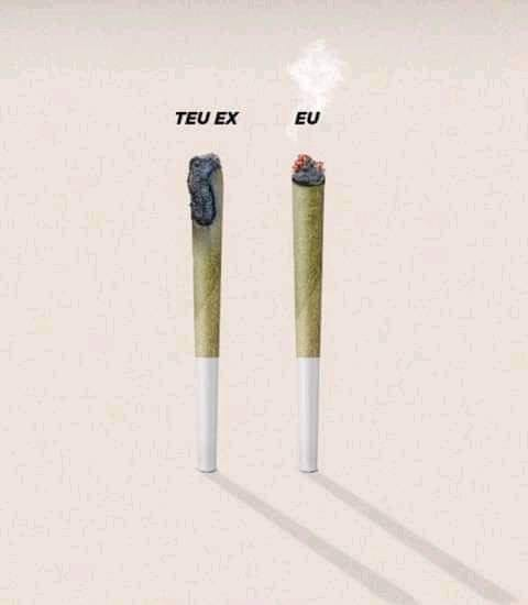 kkkk