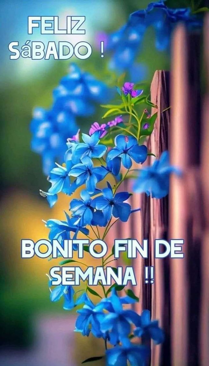 Beatriz rivera (@beatrizriveramz) on Twitter photo 