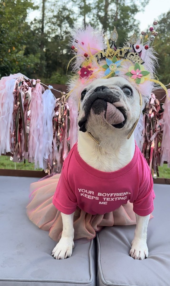 Today is Luna Beans 7th birthday!! Our baby foster sister, Belly, is going to her forever home today but we are celebrating big until then!