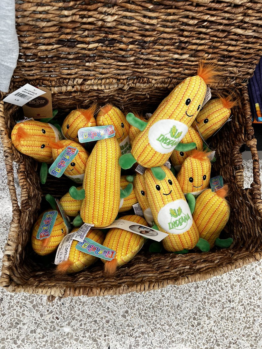 James Schnable tweet media