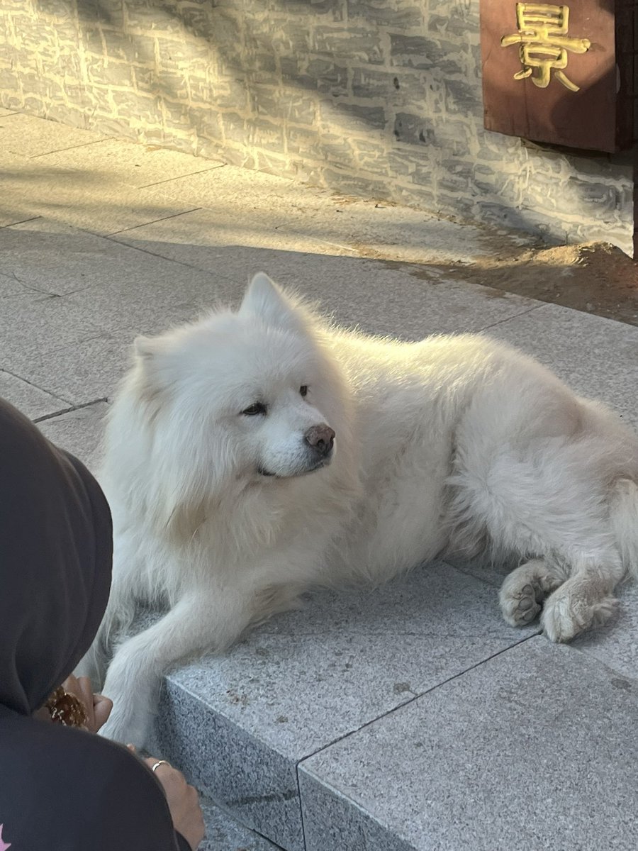 tybhxxdr's tweet photo. 🥰 https://t.co/cfvk4lGJWK