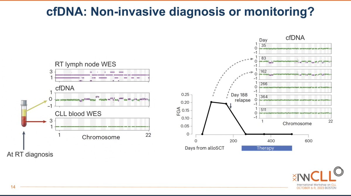 I loved Dr. Parry’s idea of early detection and interception of Richter’s through ctDNA #iwCLL23 #iwCLL2023 #CLLsm