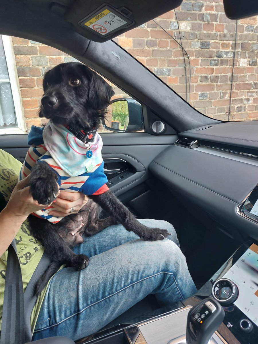 Harry 🇬🇧 tweet media