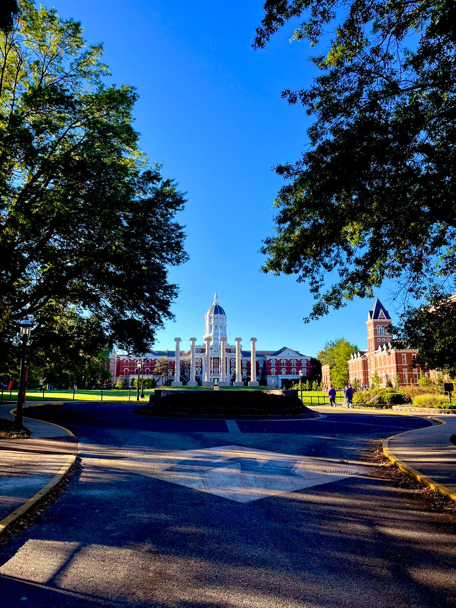 alicialeim's tweet photo. Good morning, Mizzou 🖤💛 https://t.co/c1D9cyegLQ