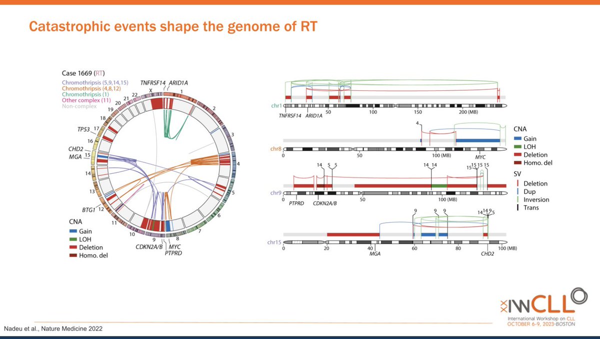 AuclairDan's tweet photo. Dr. Ferran Nadeau on the growing knowledge of molecular events behind Richter’s Transformation at #iwCLL23 #iiwCLL2023 #CLLsm https://t.co/Nhohgamti2