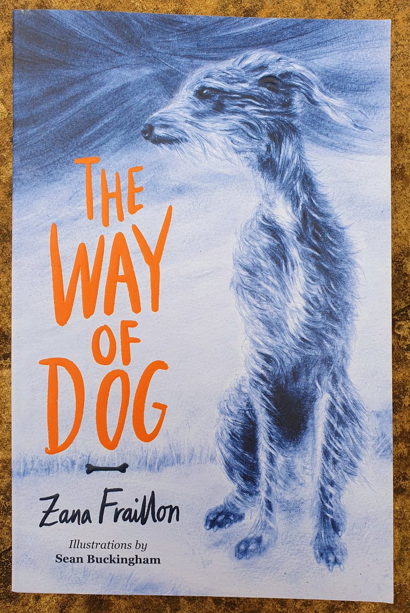 The Way of Dog by @ZanaFraillon (illustrated by Sean Buckingham) is a wonderfully constructed verse novel about an orphaned dog, Scruffity, who wants nothing more than to find a home where he will be loved. A story bursting with loyalty, hope and empathy. Spot on for Year 5/6.