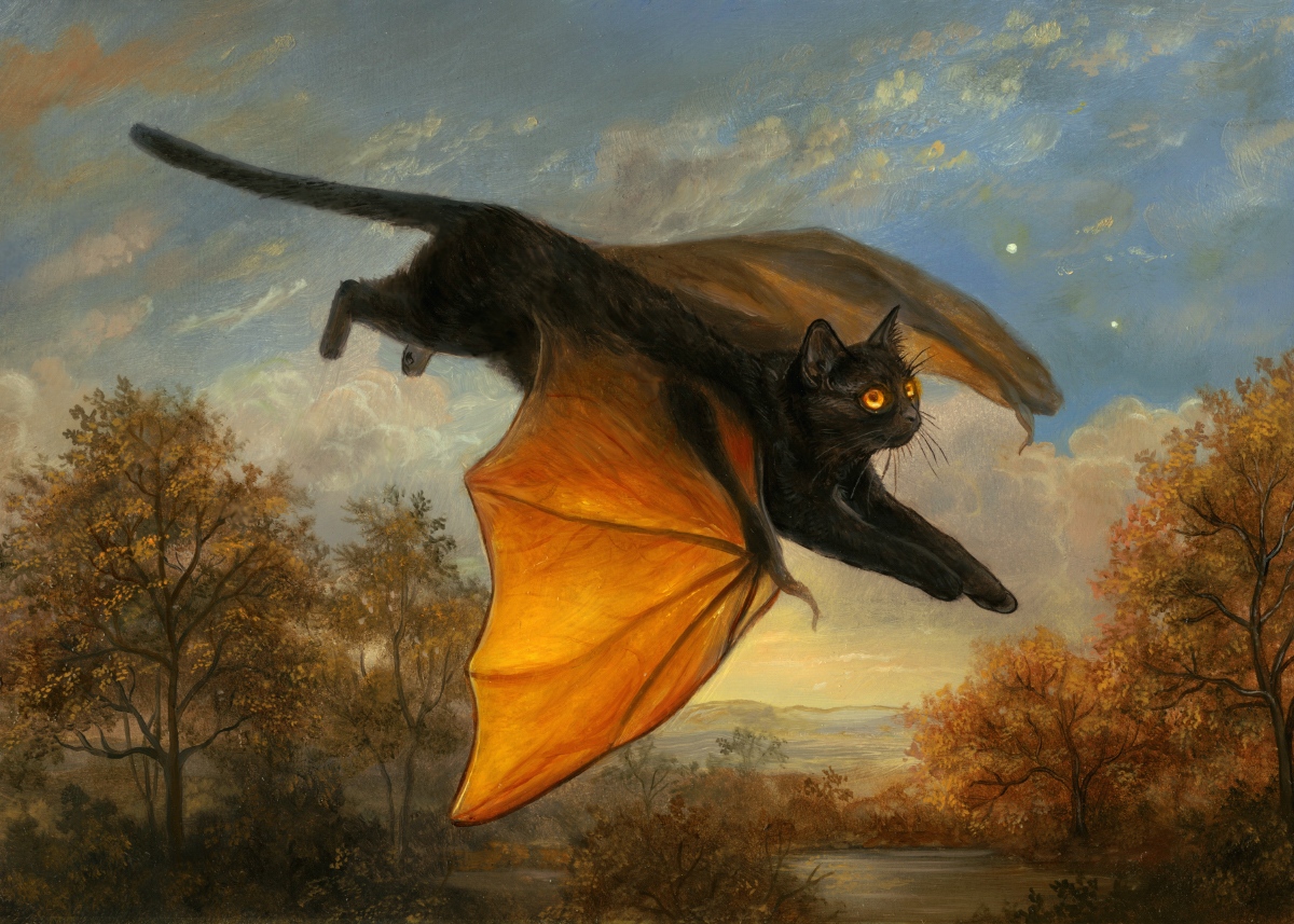 I love this time of year! 🐈‍⬛🦇
#Caturday