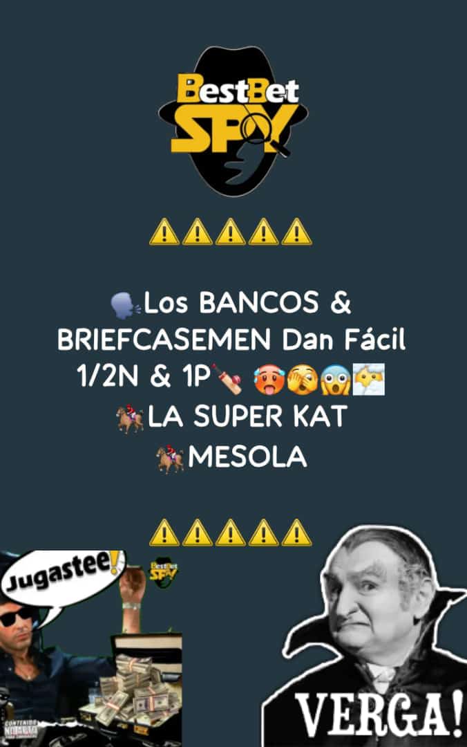 BestBetSPY's tweet image. ⚠️  #LaRinconada ⚠️

📣 #BestBetSpy🕵️‍♂️ solo entrega CONTENIDO NO APTO PARA CARDIACOS🩻🥵 &amp;amp; Si sufre de la Tensión🩻 o del Corazón🫀 es hora de la Pastilla💊 🫣😶‍🌫️

🗣️ #SUSCRIPCIÓNVIP🏆 #Hipismo #Nacional🇻🇪 &amp;amp; #Internacional🇺🇲

🏇🏼#SUSCRIBETE👉🏻 #WSP🤳🏼 wa.me/584120311573

⚠️🇻🇪