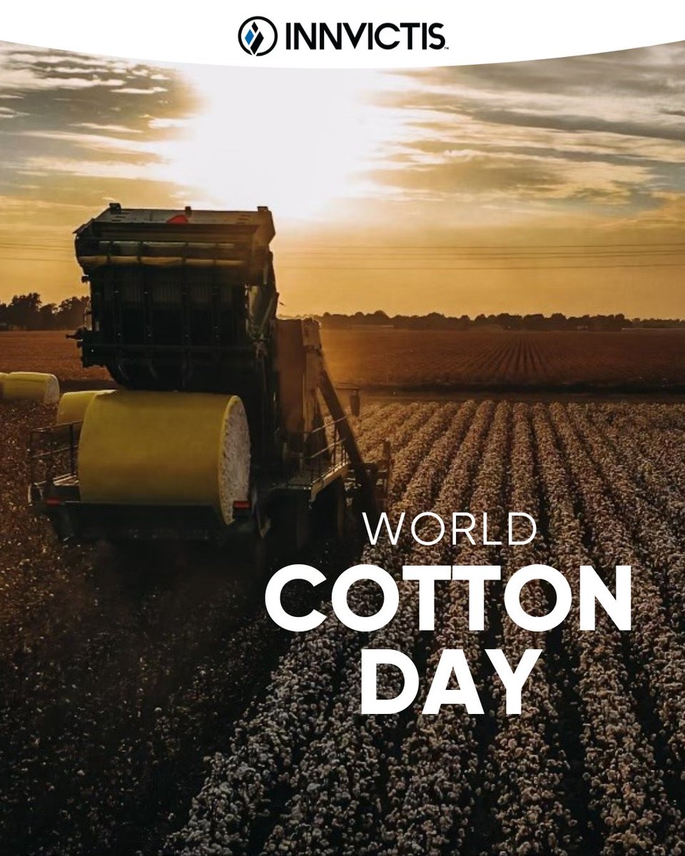 Innvictis's tweet photo. This is what snow looks like on the Delta! 🙌 Happy  World Cotton Day to all of our cotton farmers 🎉 https://t.co/baIBZliNbs