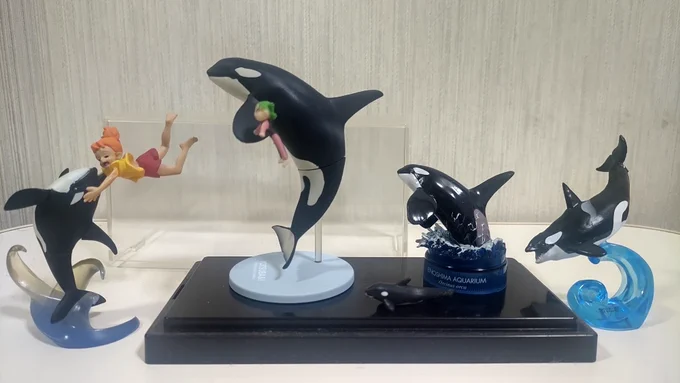 友人からシャチのフィギュアをもらいました。 仲間が増えたので大きいケースを用意せねば。