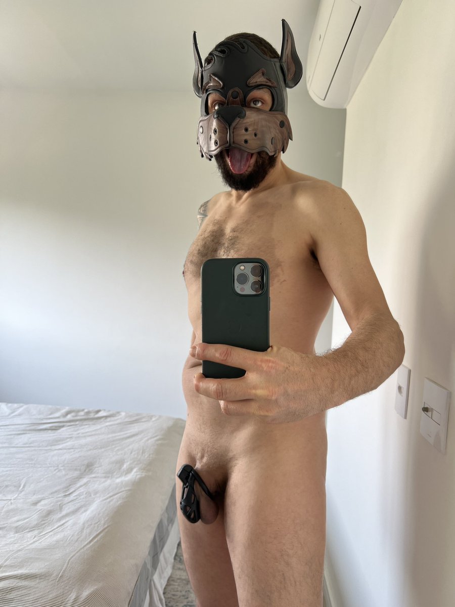 PuppyDogtor's tweet photo. @lockedguys Day 7 @lockedguys @locktober
With a bonus picture today 🐶🔒 https://t.co/9qH95frf7j