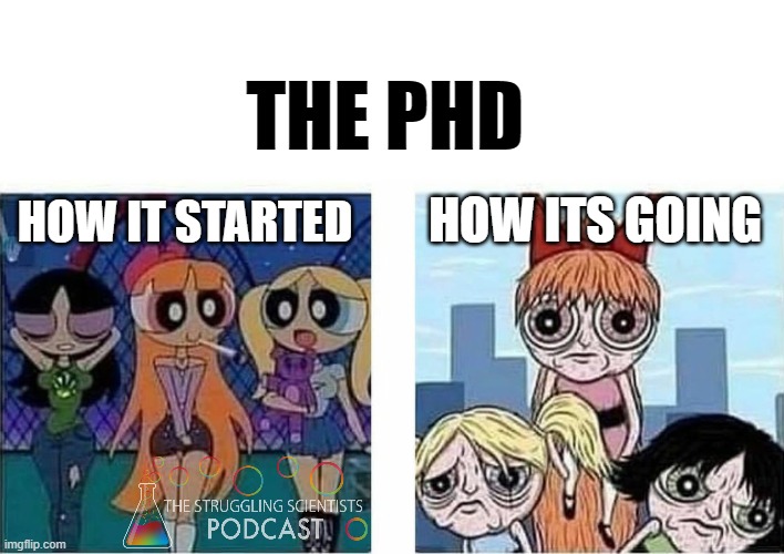 TheStrugglingS4's tweet photo. I'm a different person then when I started the PhD.... no shit 😅 https://t.co/O5YlrhppGx