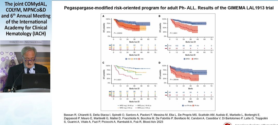 ALL_Hub_'s tweet photo. CONGRESS | #IACH23 | #CoMyDAL Robin Foà @SapienzaRoma gave a presentation on Ph-negative ALL highlighting the key role of MRD monitoring and immunotherapies such as blinatumomab on clinical outcomes
#allsm #leusm https://t.co/3JP9m2571K