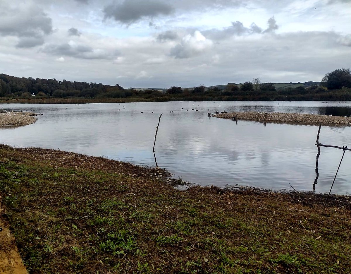 Becky Breen (@rebeccabreen02) on Twitter photo Lovely day trip to Arundal Wetland Centre this week with <a href="/ShepherdTherapy/">Shepherd House - Occupational Therapy</a>- really enjoyed by all! ππ¦π¦’ So beautiful- a great place to slow down and be in the moment <a href="/ShepherdHouse2/">Shepherd House</a> <a href="/SPFT_NHS/">Sussex Partnership</a> Lovely day trip to Arundal Wetland Centre this week with <a href="/ShepherdTherapy/">Shepherd House - Occupational Therapy</a>- really enjoyed by all! ππ¦π¦’ So beautiful- a great place to slow down and be in the moment <a href="/ShepherdHouse2/">Shepherd House</a> <a href="/SPFT_NHS/">Sussex Partnership</a>