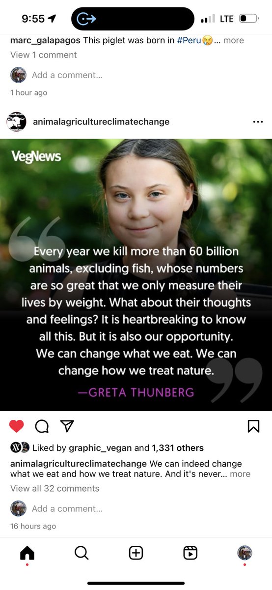 WildOceanAppaWo's tweet photo. I hate this world thanks to non-vegans torturing and murdering millions of animals daily and destroying the earth.
Please give your time, money effort to ALF, DXE, PETA, legit vegan rescues, sanctuaries!  Liberate all animals and the earth!
💔🩸🌱🌍 https://t.co/7S97L27Z73