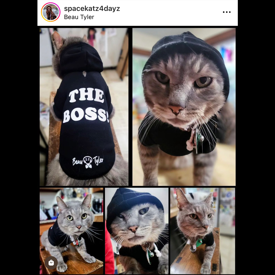 Happy #caturday to Hoth (The Boss!) and all our feline friends! 🐱🥰

#BeauTyler #FriendsOfBeau #Hoth #theboss #BossCat #LaughLoveLick