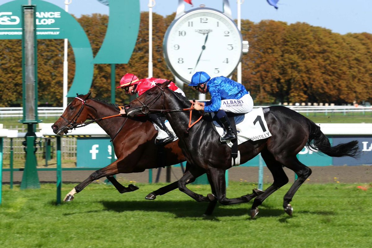 WOODCHUCK (Birchwood @Huderie) offre une 1re victoire de Listed à Nicolas Bellanger dans le Prix Le Fabuleux (L) @fgchantilly. Appartenant à David Dromard, élevé @Huderie , monté @S_Planque 📸 @ScoopDyga