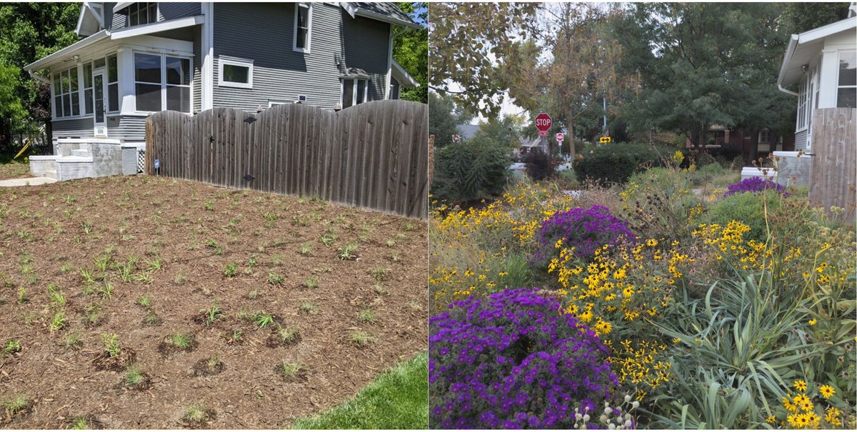 Lawns are a grift meant to keep us subservient. tweet media