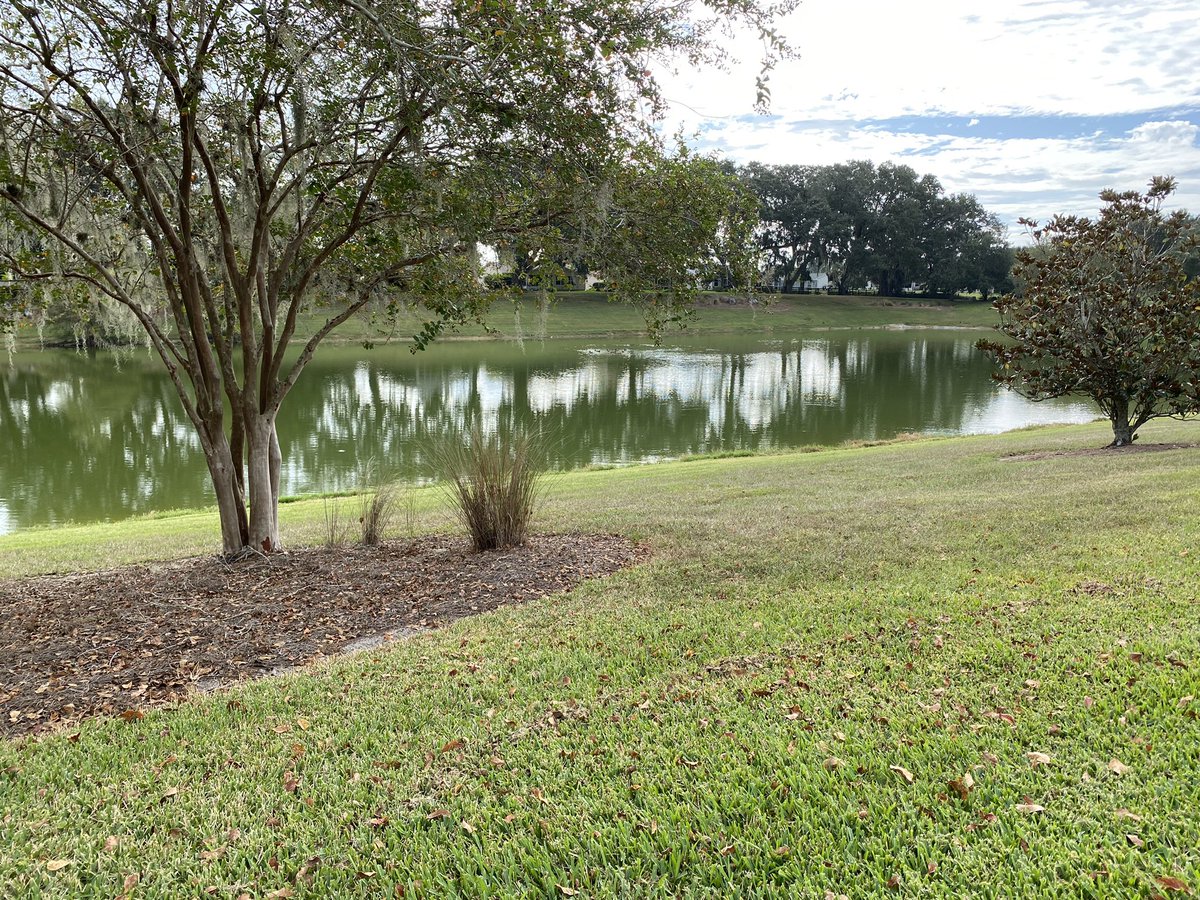 keto_mandy's tweet image. 76°F and overcast. 2.5 miles run. #running #5ktraining #RunningMindset #fitover40 #runningcommunity #runningmotivation #saturdayrun