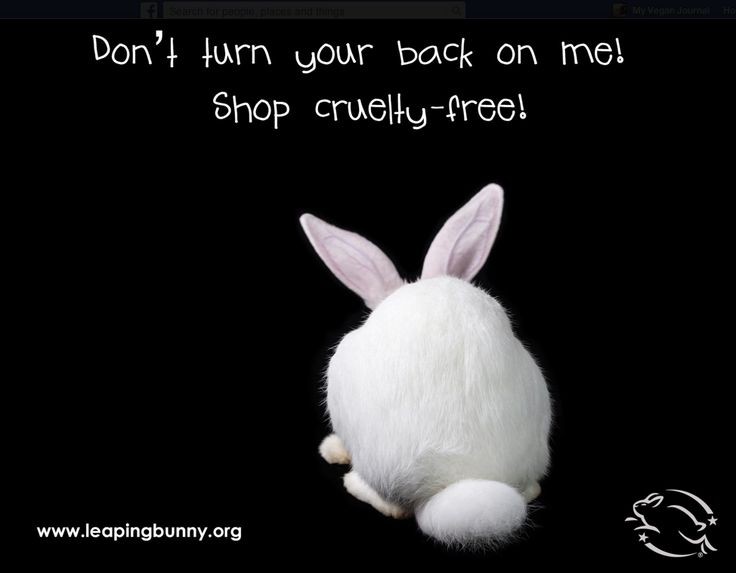 #RescateVivotecnia 
#EndAnimalTesting
#BeCrueltyFree